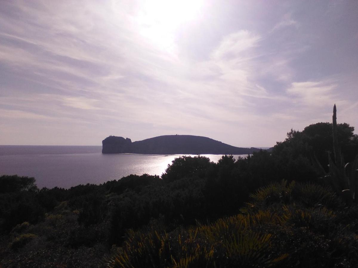 Giramondo Sardegna Affittacamere Αλγκέρο Εξωτερικό φωτογραφία