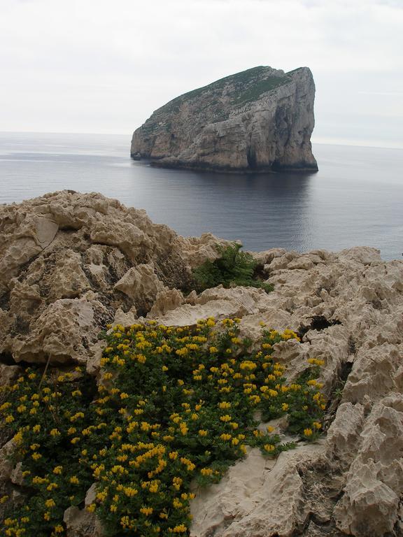 Giramondo Sardegna Affittacamere Αλγκέρο Εξωτερικό φωτογραφία