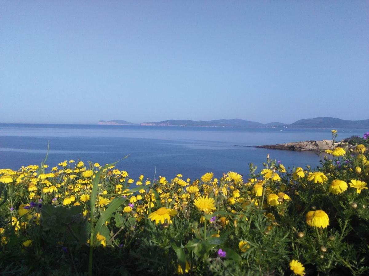 Giramondo Sardegna Affittacamere Αλγκέρο Εξωτερικό φωτογραφία