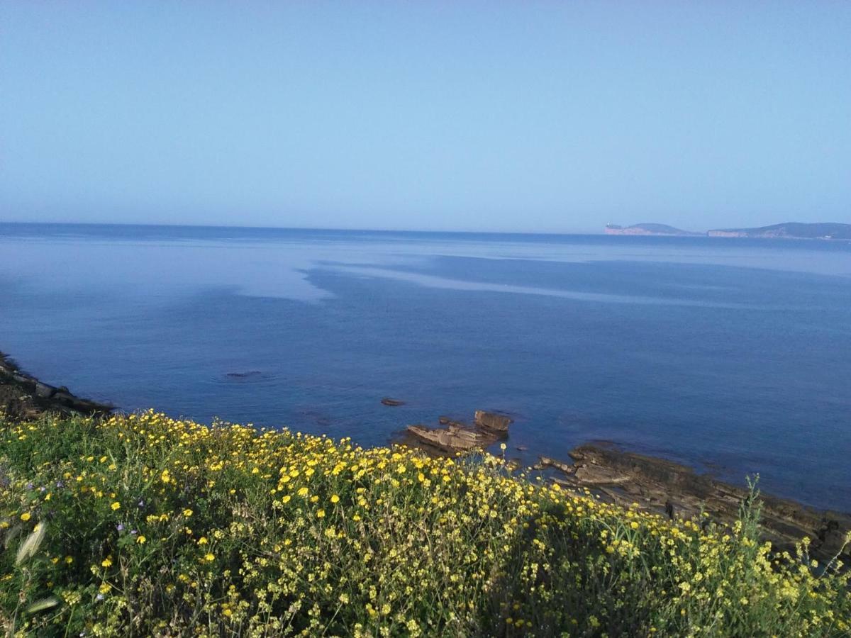 Giramondo Sardegna Affittacamere Αλγκέρο Εξωτερικό φωτογραφία